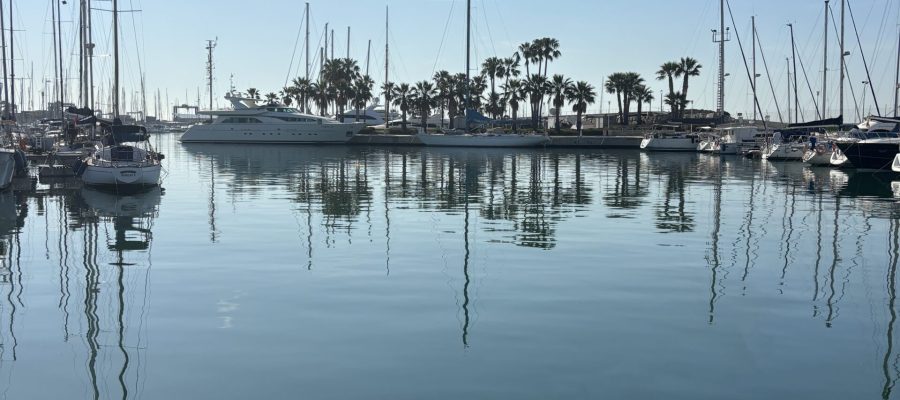 IMG_2208